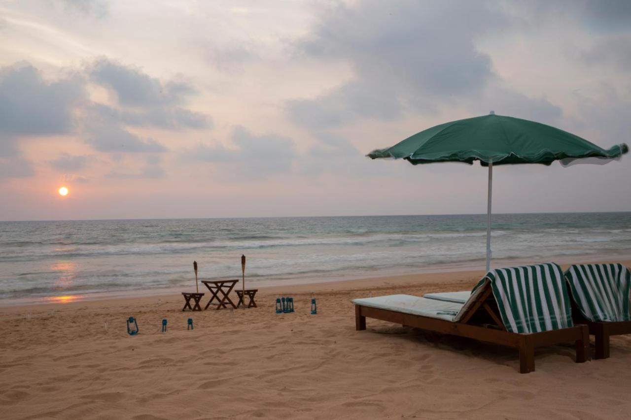 Palm Beach Inn & Sea Shells Cabanas Bentota Exterior foto