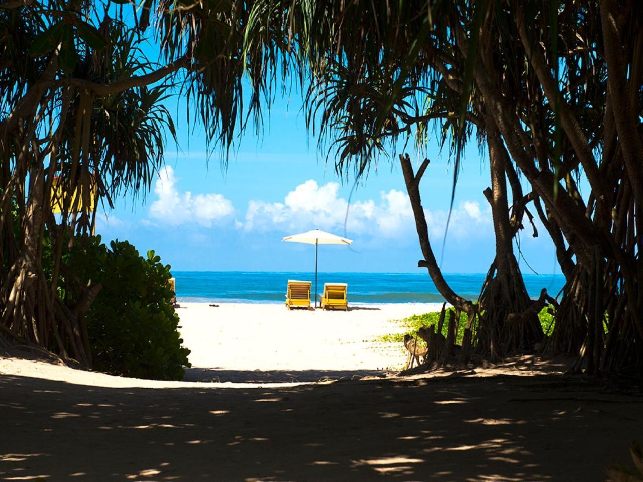 Palm Beach Inn & Sea Shells Cabanas Bentota Exterior foto