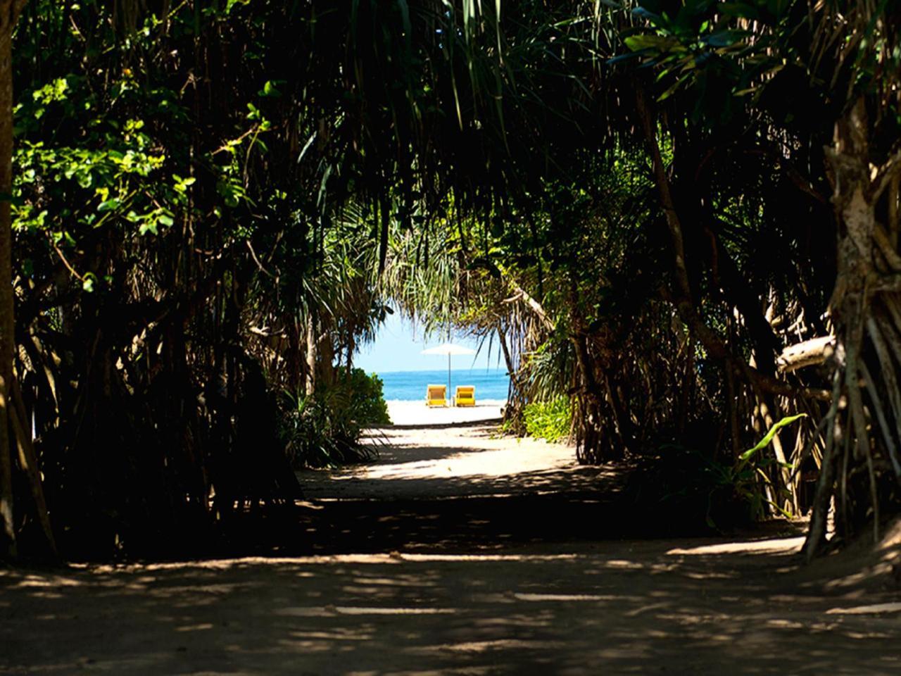 Palm Beach Inn & Sea Shells Cabanas Bentota Exterior foto